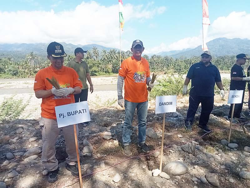Cegah Longsor, Pemkab Agara Tanam Rumput Vetiver Sepanjang Sungai Alas