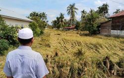 Aceh Hits